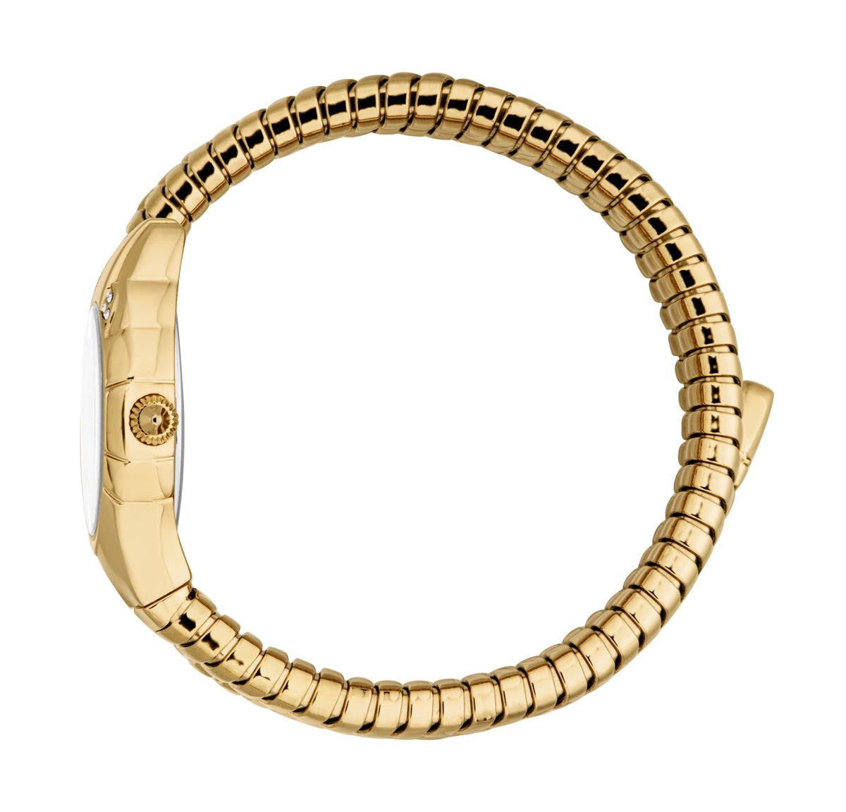 JUST CAVALLI Womens's Snake Watch