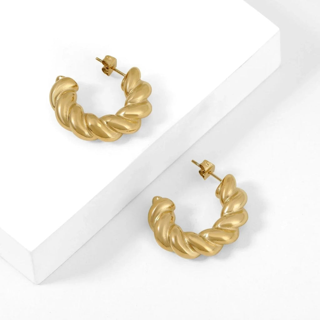 Rope Twist Earrings