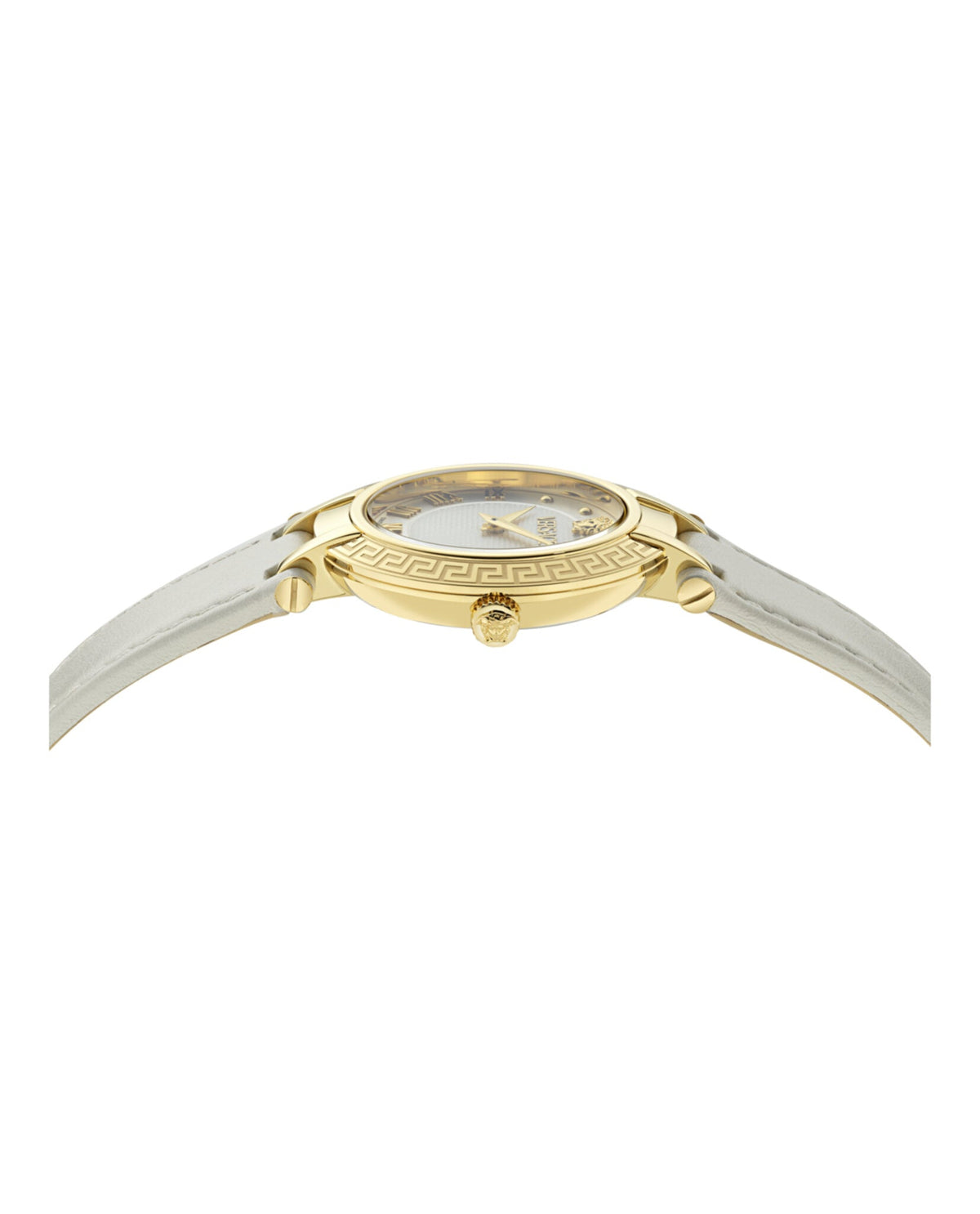 Antlia Leather Watch
