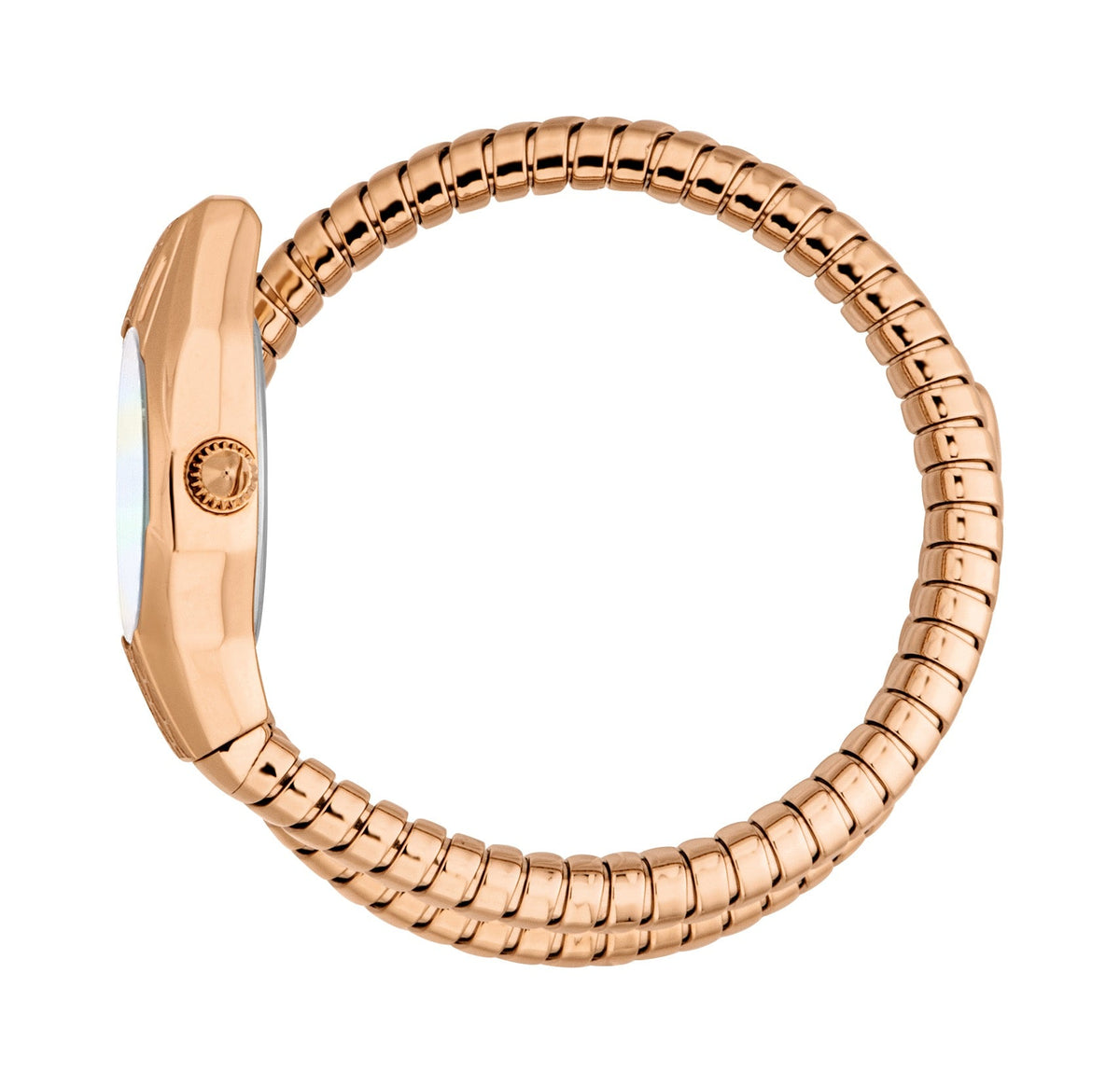 Just Cavalli Women's Snake 22mm Quartz Watch