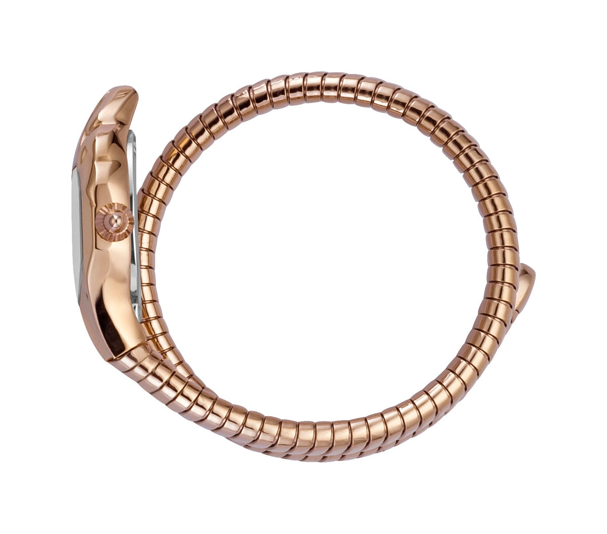 Just Cavalli Women's Snake Watch