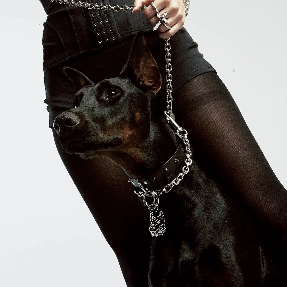 PET TAG