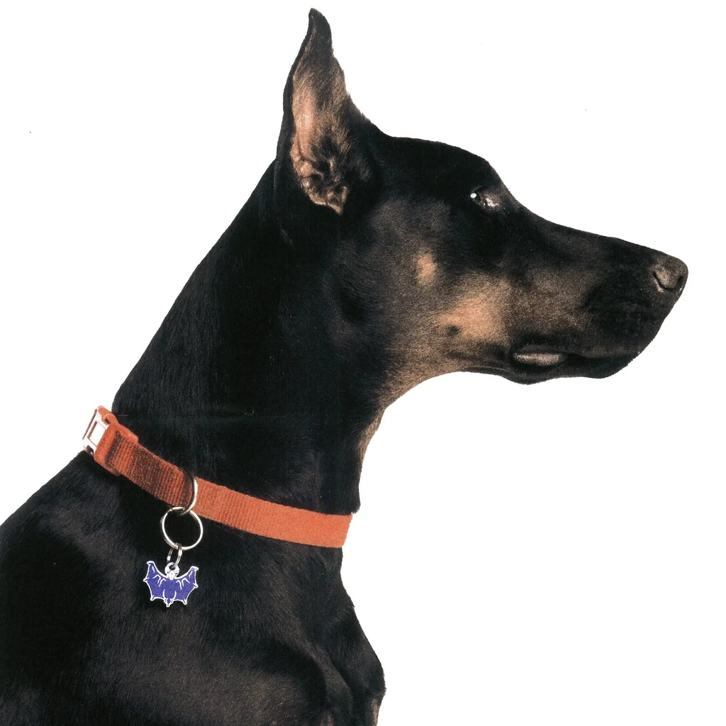 PET TAG