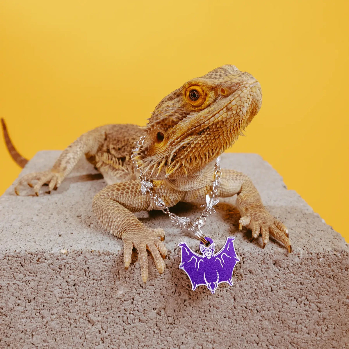 PET TAG