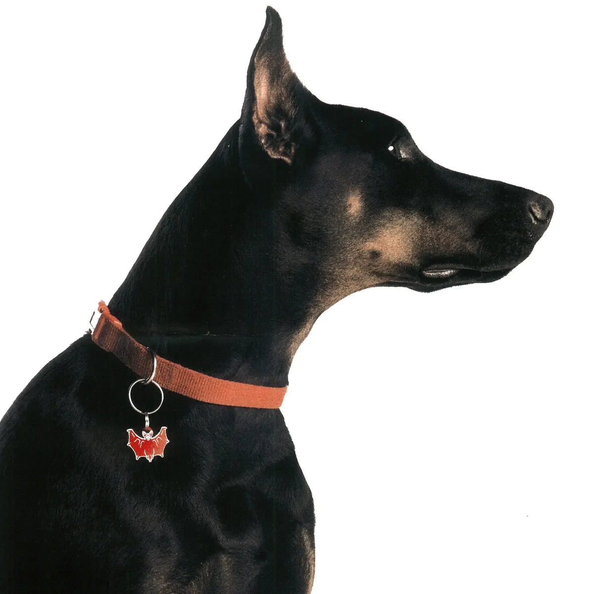 PET TAG