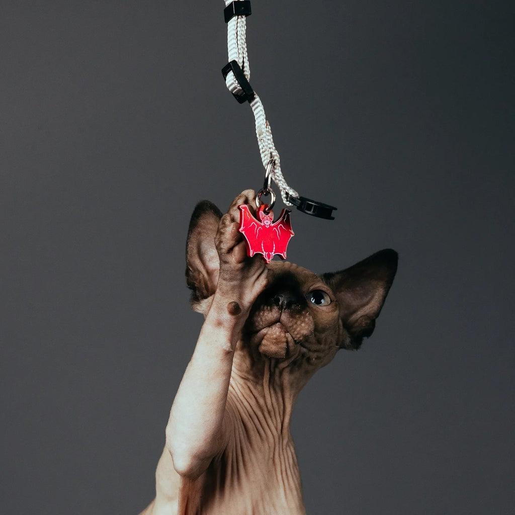PET TAG
