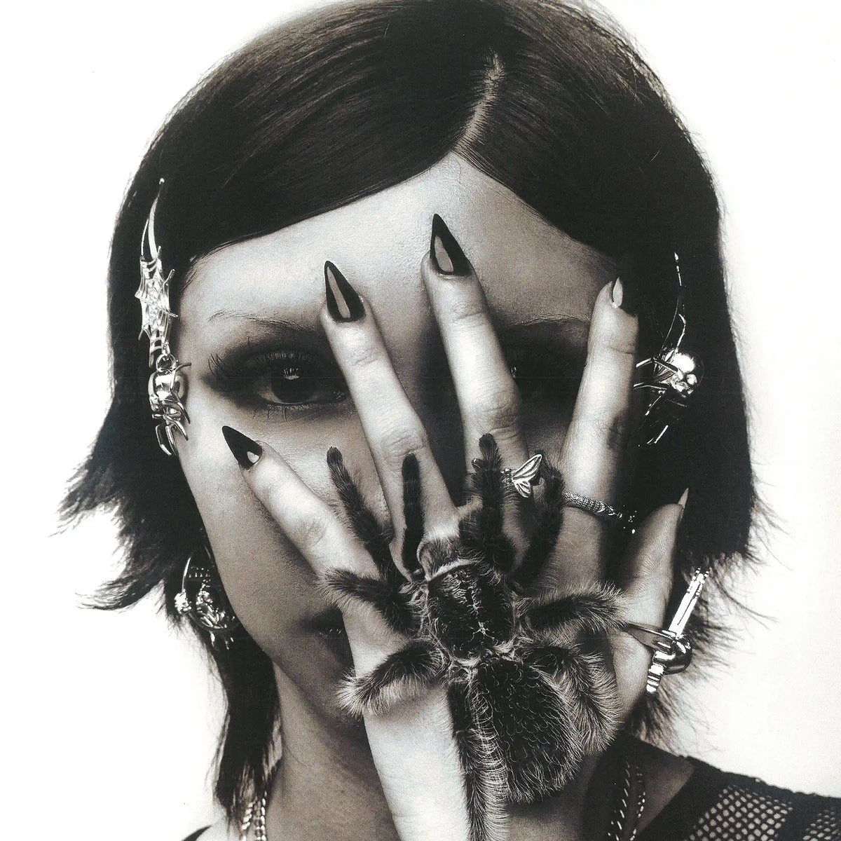 SPIDER HAIR CLIP