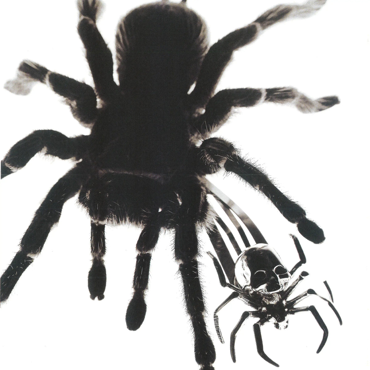 SPIDER HAIR CLIP