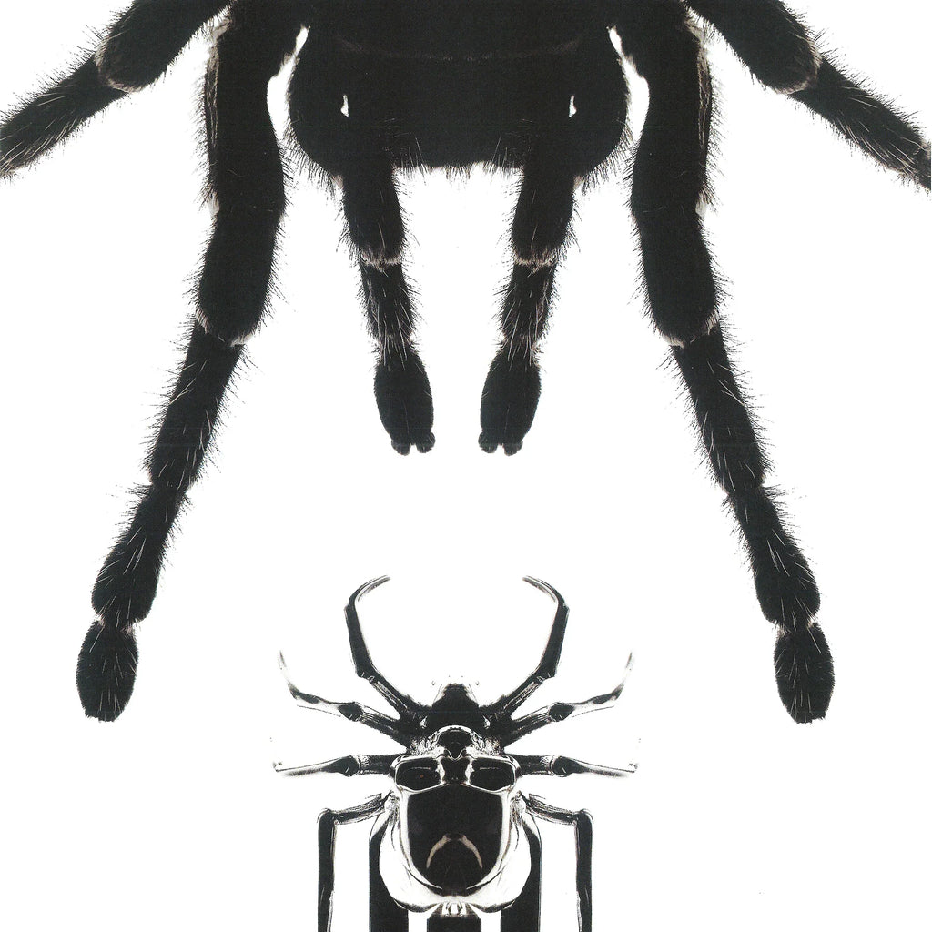 SPIDER HAIR CLIP