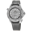 Omega Seamaster Diver 300M Automatic Grey Dial Rubber Strap Men's Watch 210.32.42.20.06.002