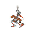 Miami Hurricanes Sebastian the Ibis in White Gold