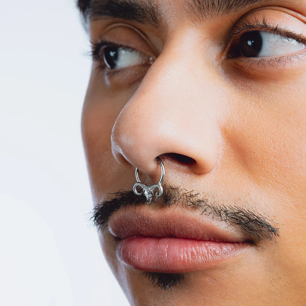 FAUX RAM SEPTUM