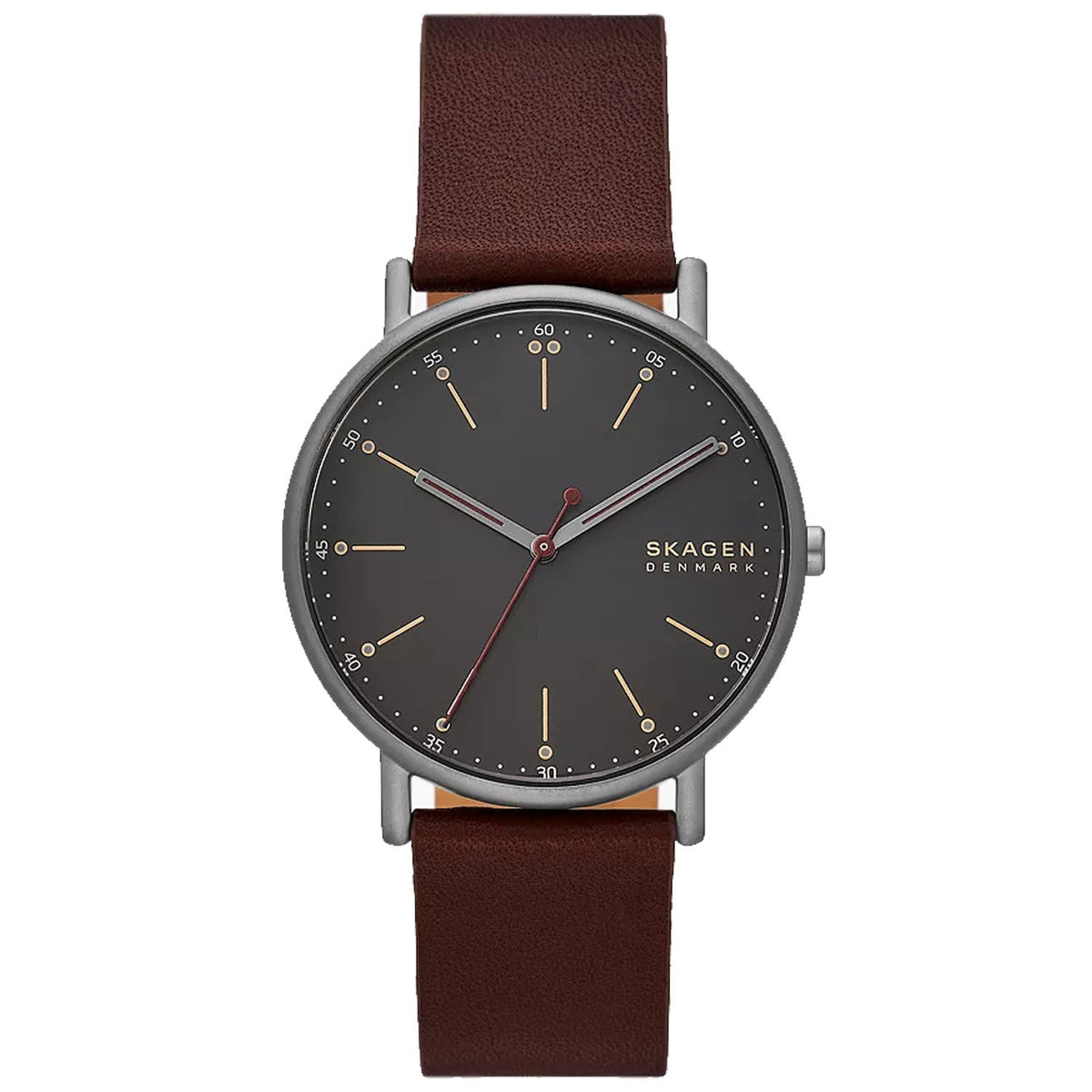 Skagen Men's Signatur Black Dial Watch