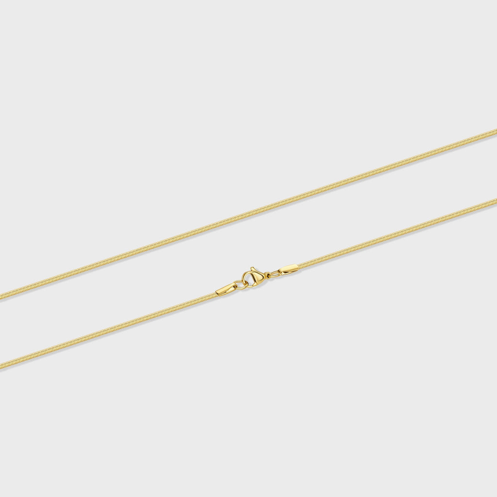 Women's Flat Snake Chain (Gold) - 2mm
