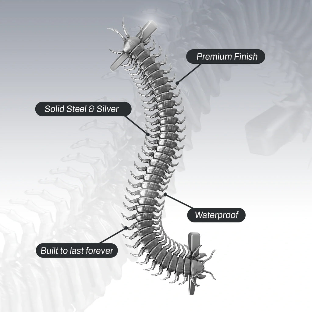 CENTIPEDE HAIRCLIP