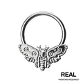 MOTH SEPTUM
