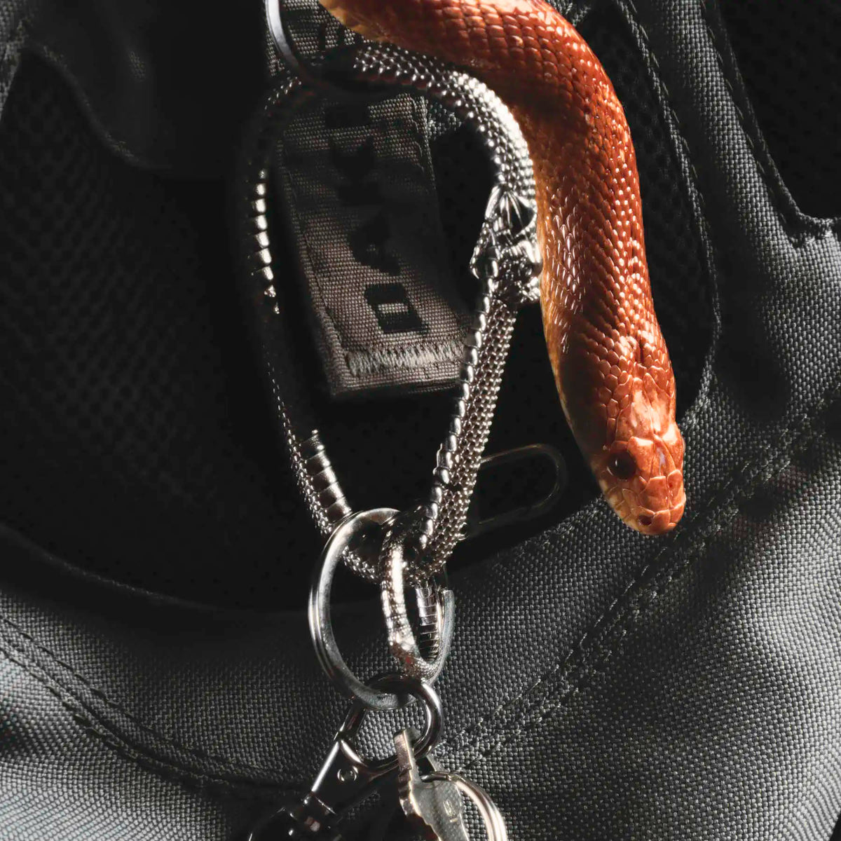 OUROBOROS CARABINER