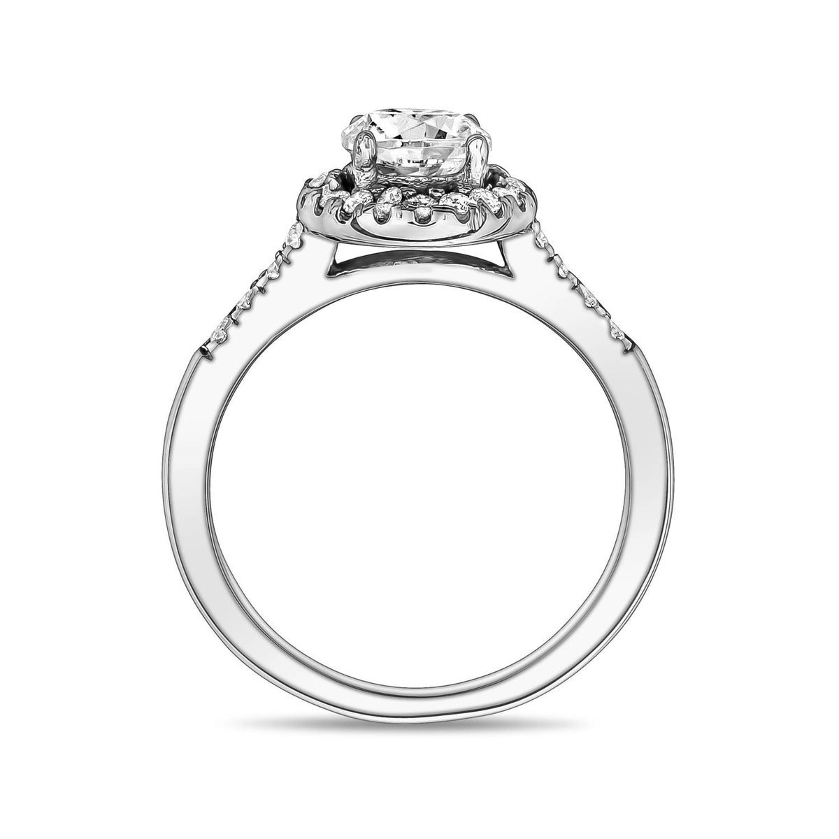Round Halo Solitaire Ring